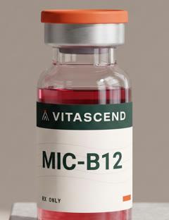 MIC-B12, product photo